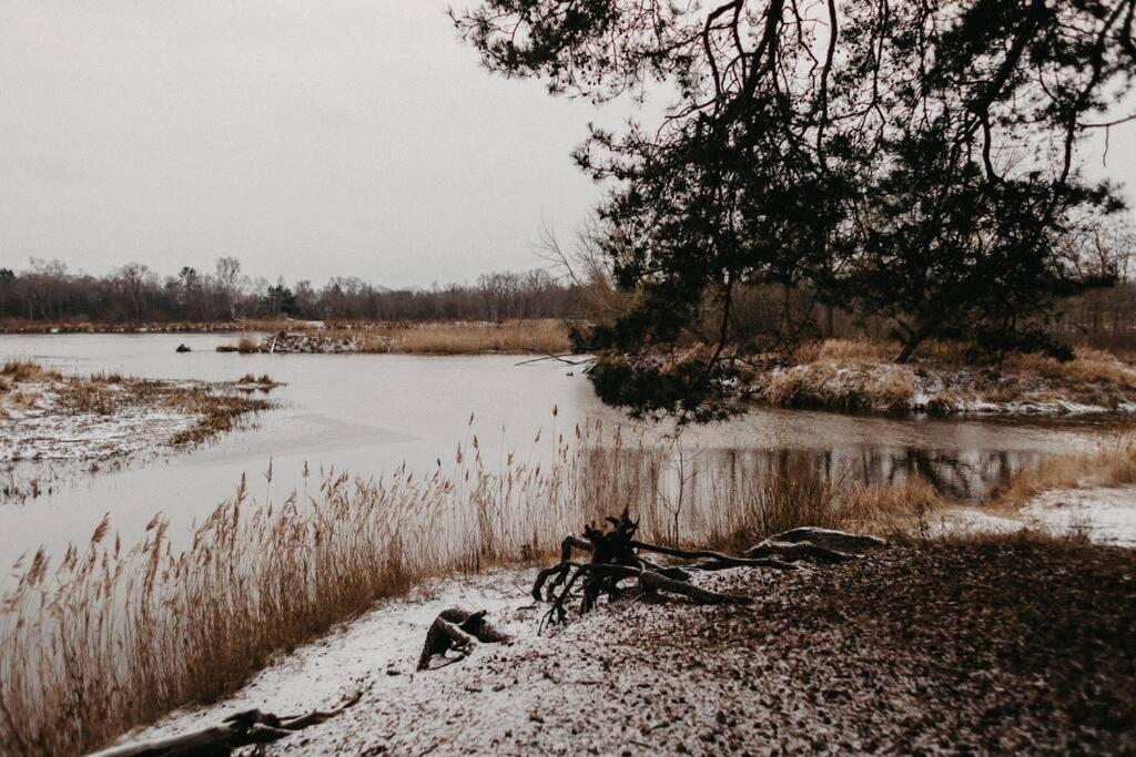 Gaujaupe Villa Gauja  Екстериор снимка